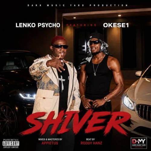 The Rise of Lenko Psycho: Understanding the DarkMusicYard Genesis and the Okese1 Collaboration