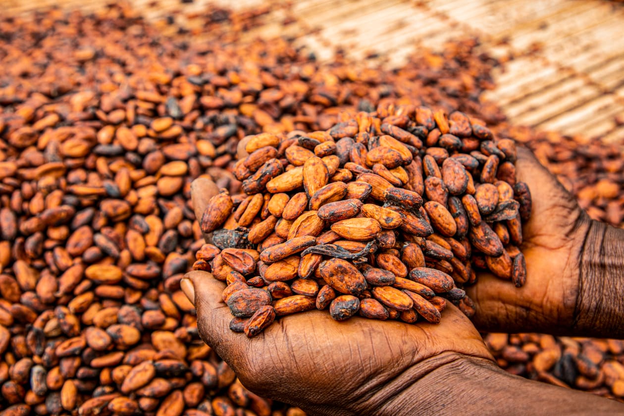 COCOBOD Completes 2026 DDEP Obligations with GH¢2.3bn Debt Settlement